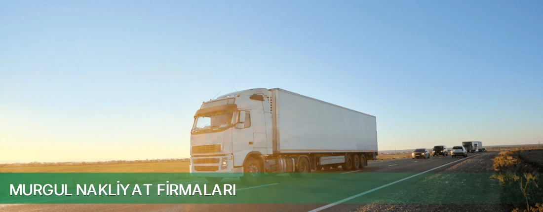 Murgul Nakliyat Taşımacılık Murgul Nakliyat Taşımacılık